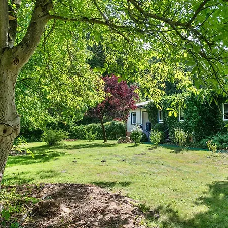 Apartament Am Wald